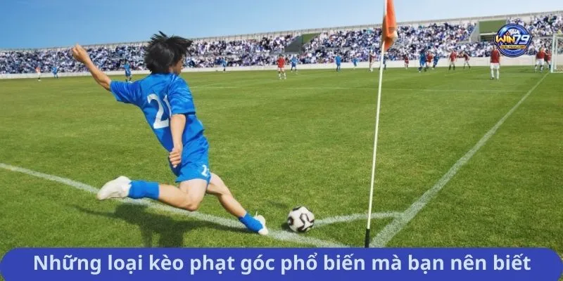 Những loại kèo phạt góc phổ biến mà bạn nên biết